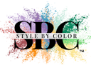 online personal style training